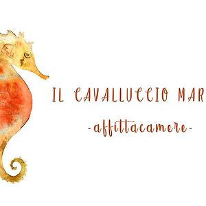 ホテル Il Cavalluccio Marino マナローラ Exterior photo