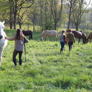 Sainte-Gemmes-le-Robert Domaine Des Pierres Jumelles-Balade A Cheval-Chambre D'Hotes Mayenne Bed & Breakfast Exterior photo