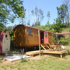 Rosa The Cosy Cabin - Gypsy Wagon - Shepherds Hut, River Views Off-Grid Eco Living ペドローガン・グランデ Exterior photo