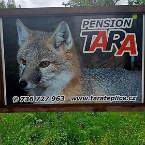 Pension Tara Teplice nad Metují Exterior photo