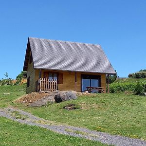 Saint-Genès-Champespe Chalet Sancyヴィラ Exterior photo