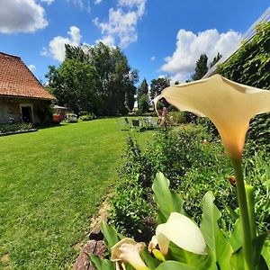 Rubrouck La Flandre Entre Plaine, Mer Et Marais Bed & Breakfast Exterior photo