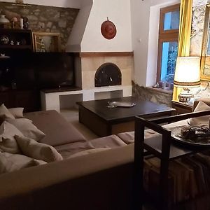 Sasca Montană Vila Primitoare Cu Piscina Pentru Gasca Mareヴィラ Exterior photo