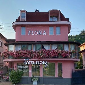 Family Hotel Flora ズラトグラッド Exterior photo