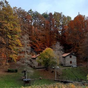 CorfinoAgriturismo Il Canaleアパートメント Exterior photo