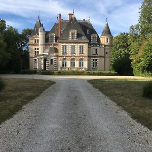 Nogent-sur-Vernisson Chateau De Praslins Bed & Breakfast Exterior photo