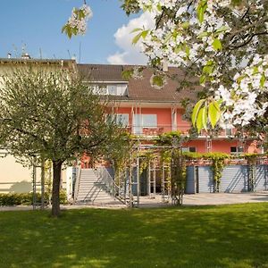 Hotel Villa Martino - Zum Hirsch バート・ゼッキンゲン Exterior photo