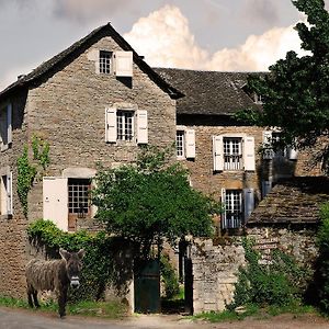 Sévérac-le-Château Maison D'Hotes La Singuliere Bed & Breakfast Exterior photo