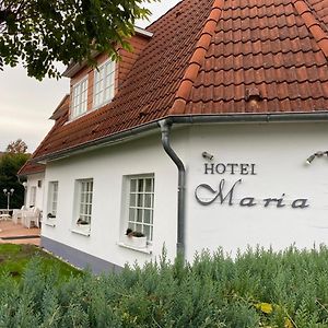 Hotel Maria グライフスヴァルト Exterior photo