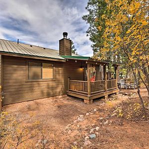 Pet-Friendly Show Low Cabin With Trail Access! Exterior photo