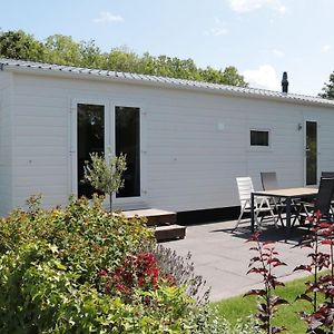 Tzummarum Tidy Chalet With A Microwave, Near The Wadden Seaヴィラ Exterior photo