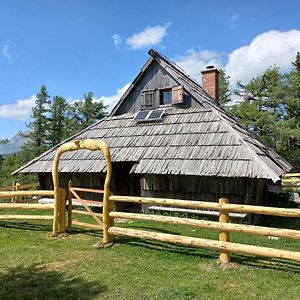 オスレンドネスロヴェンスカ Velika Planina - Chalet Rusovc - Location With Fully Privacyヴィラ Exterior photo