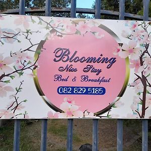 Blooming Nice Stay ハリスミス Exterior photo