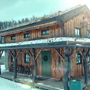 Benesov  Chalet Boruvka - Biofarma Na Samote V Lesichヴィラ Exterior photo