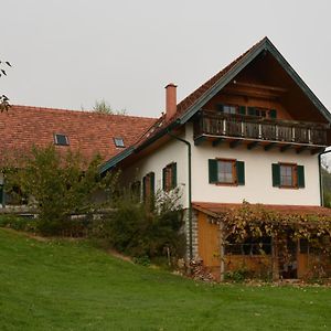 フェルトバッハ Bauernhof Grainヴィラ Exterior photo