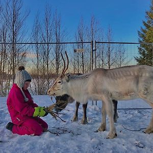 テルボラ Beautiful Rural Experience With Reindeerヴィラ Exterior photo