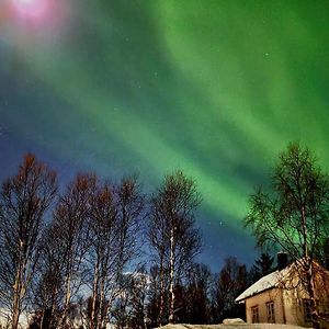 Botnhamn Cabin Magic On Senja, Atmosphere Like A Fairytaleヴィラ Exterior photo