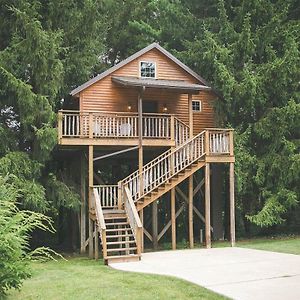 Lofty Willows Treehouse By Amish Country Lodging ミラーズバーグ Exterior photo