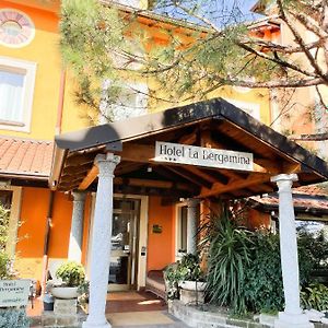 La Bergamina Hotel & Restaurant アルコレ Exterior photo