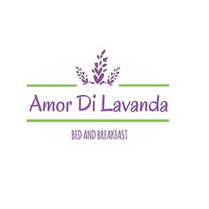 チンゴリ Amor Di Lavanda Bed & Breakfast Exterior photo