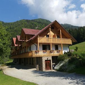 ホテル Turisticna Kmetija Zgornji Zavratnik Luče Exterior photo