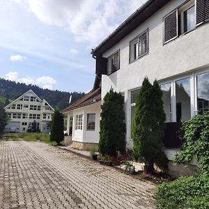 ホテル Antal Apartmans Lunca De Sus Kulcsoshaz Gyimesfelsolok Exterior photo