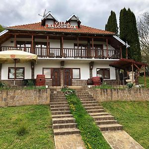 Villa Balconlux - Zavojsko Jezero, ピロト Exterior photo