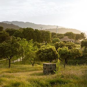 Carrascalejo Los Chozos Del Geoparqueゲストハウス Exterior photo