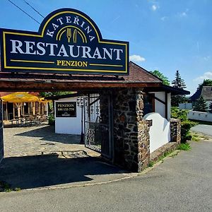 Katerina Restaurant A Penzion ロズヴァドフ Exterior photo