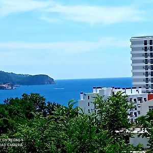 Monterus Apartment With Sea View In Becici ブドヴァ Exterior photo