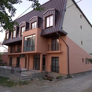 Sokolar Pensiunea Valea Beiului Bed & Breakfast Exterior photo