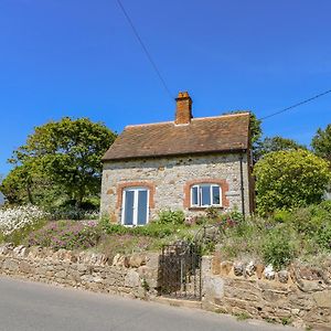 Ladylands Cottage ニューポート Exterior photo