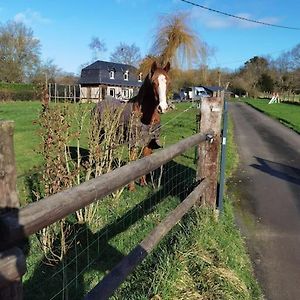 Saint-Julien-sur-Calonne Obungalow De July Belle Vueヴィラ Exterior photo