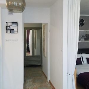 Apartament Zamosc Fioletアパートメント Exterior photo