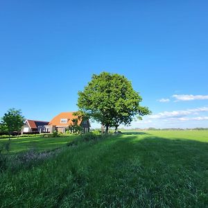 Terschuur Bed & Breakfast De Vink Bed & Breakfast Exterior photo