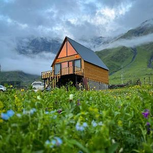 Mood Villa Kazbegi Exterior photo