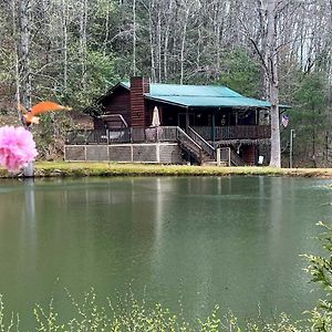 アンドリューズ Mountain Getaway With Pond, Grill, And 2 Fire Pits!ヴィラ Exterior photo