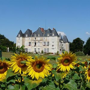 Dange-Saint-Romain Chateau De Piolant Bed & Breakfast Exterior photo