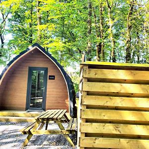 The Pod-Hot Tub-Woodland Lodges-St Clears-カーマーゼン Exterior photo