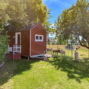 Rubkow Tiny House Auf Der Alpaka Farmヴィラ Exterior photo