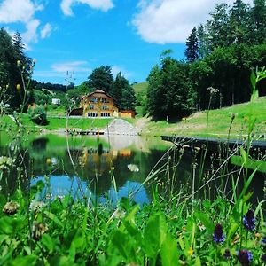 Zgornja Kungota Zelena Oaza Bed & Breakfast Exterior photo