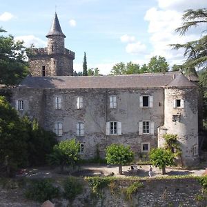 Saint-Etienne-Vallee-Francaise Le Chateau De Cambiaire Bed & Breakfast Exterior photo