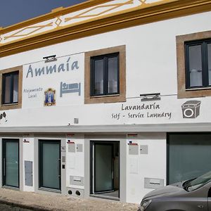 ホテル Ammaia Al ポルタレグレ Exterior photo