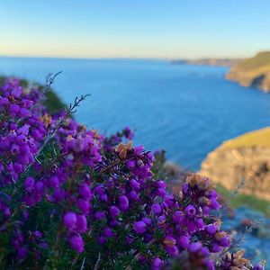 Polrunny Farm Sloe Cottage With A Sea View ボスキャッスル Exterior photo