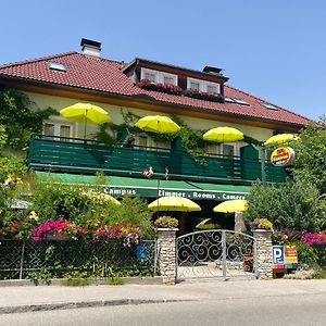 フェルデン・アム・ヴェルターゼー Pension Am Campus Velden Bed & Breakfast Exterior photo