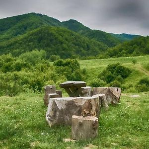 Pietroasa  Aleu - Apuseni Mountainsヴィラ Exterior photo
