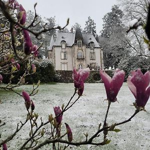 Saint-Léonard-de-Noblat Chateau Maleplane Bed & Breakfast Exterior photo