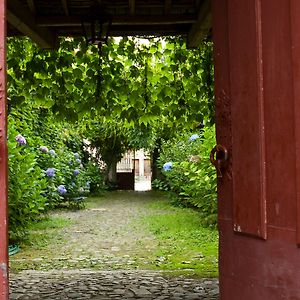 サント・ティルソ Quinta Da Picaria Bed & Breakfast Exterior photo