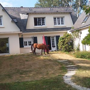 Verrieres-en-Anjou La Fantasia Bed & Breakfast Exterior photo