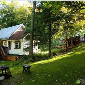 Chalet “Lendemain De Ville” Avec Acces Au Lac Saint Adolphe D'Howard Exterior photo